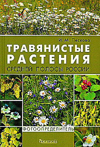 Grasartige Pflanzen der mittleren Breite Russlands. Foto-Identifikator
