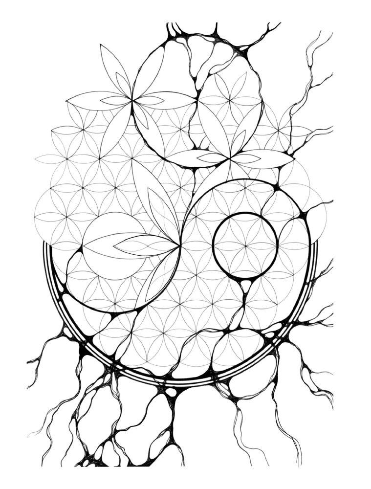 Geometrie der Ordnung. Praktisches Zeichnen
