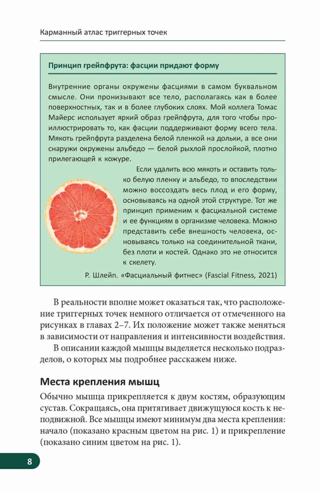 Kieszonkowy atlas punktów spustowych: Ilustrowany przewodnik po anatomii mięśni, strefach bólu i miofascjach