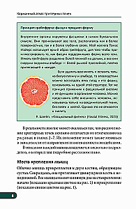 Kieszonkowy atlas punktów spustowych: Ilustrowany przewodnik po anatomii mięśni, strefach bólu i miofascjach