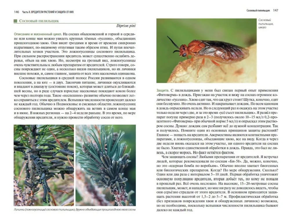 Plant Protection from Pests. What, When, and How Much