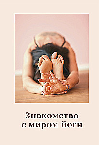 Yoga: die effektivsten Asanas. 108 Schlüsselübungen für einen starken, flexiblen Körper und zur Entlastung des Gehirns