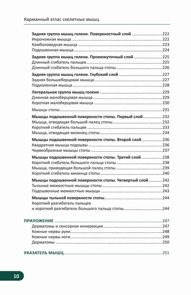 Kieszonkowy atlas mięśni szkieletowych: Ilustrowany przewodnik