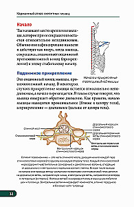 Kieszonkowy atlas mięśni szkieletowych: Ilustrowany przewodnik