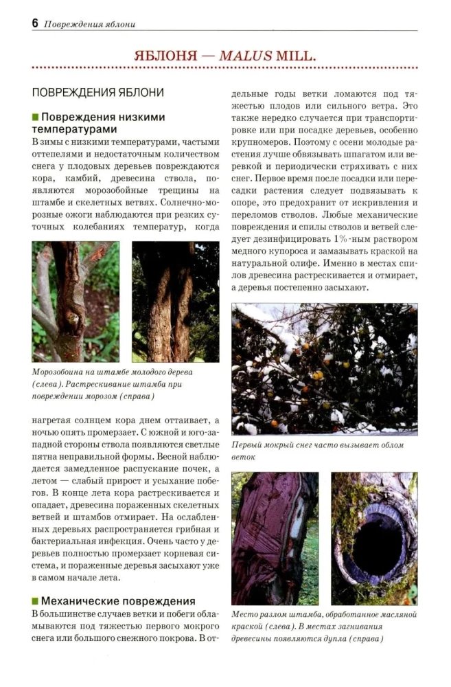 Field Guide Atlas. Diseases and Pests of Fruit Plants