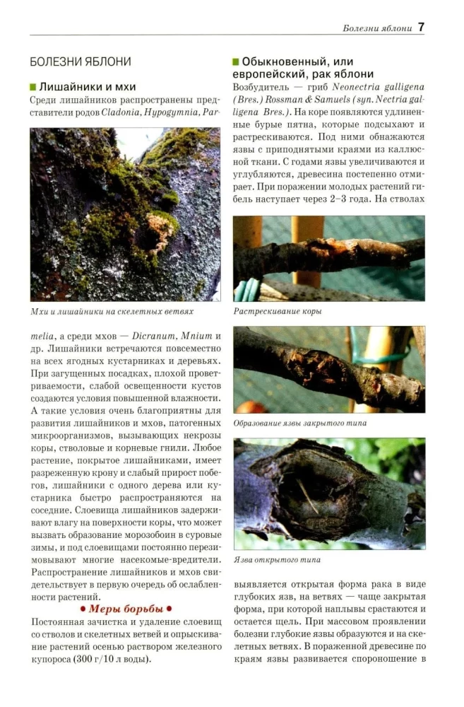 Field Guide Atlas. Diseases and Pests of Fruit Plants