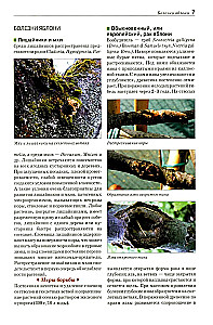 Field Guide Atlas. Diseases and Pests of Fruit Plants