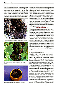 Field Guide Atlas. Diseases and Pests of Fruit Plants