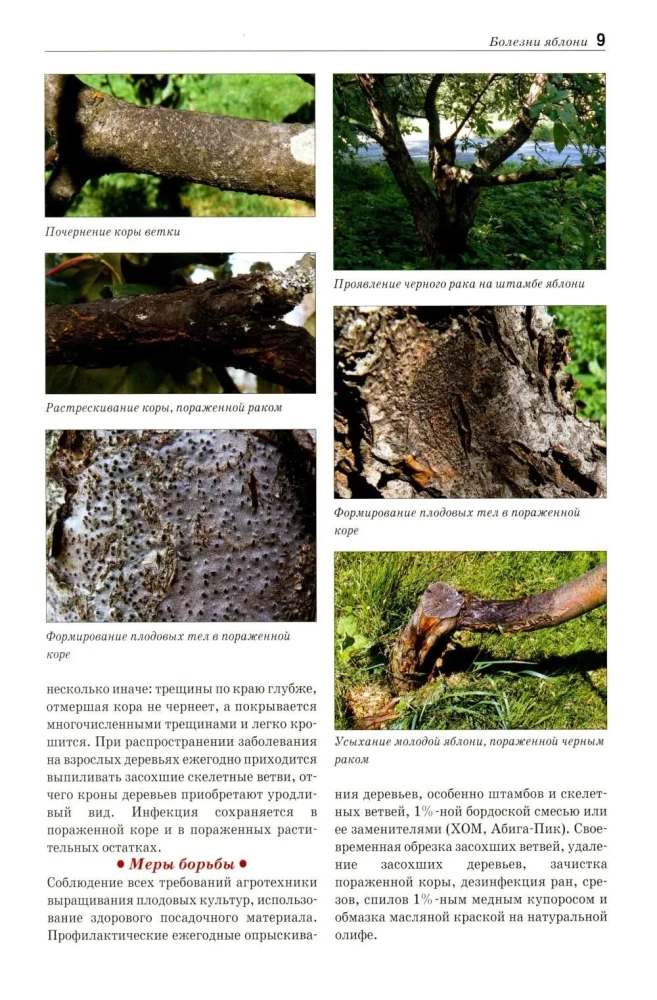 Field Guide Atlas. Diseases and Pests of Fruit Plants