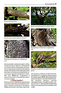 Field Guide Atlas. Diseases and Pests of Fruit Plants