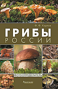 Pilze Russlands: Foto-bestimmungsbuch