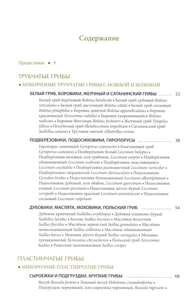 Pilze Russlands: Foto-bestimmungsbuch