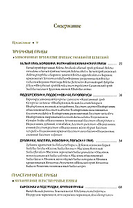 Pilze Russlands: Foto-bestimmungsbuch