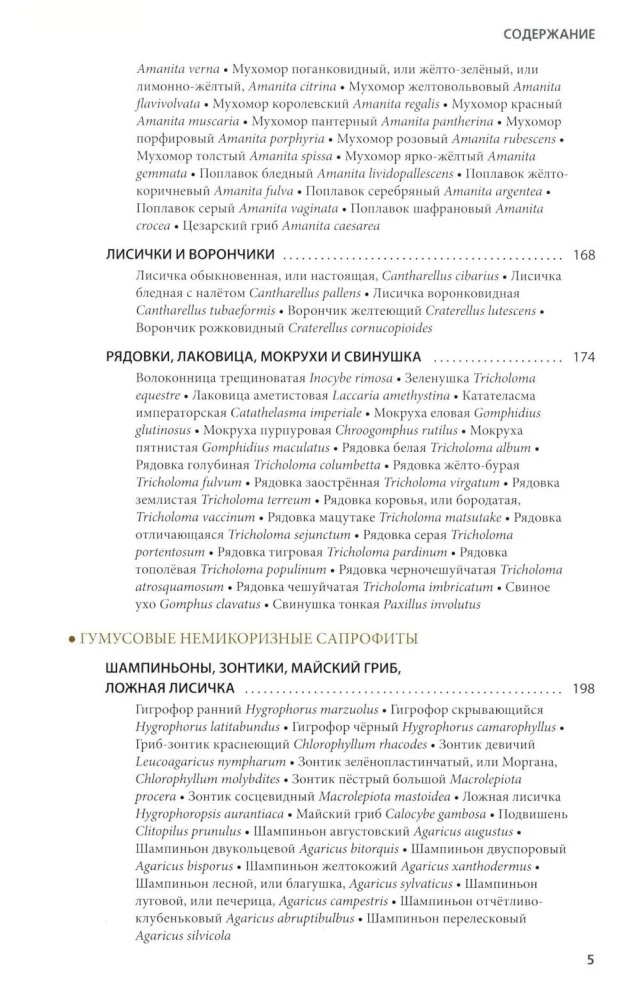Pilze Russlands: Foto-bestimmungsbuch