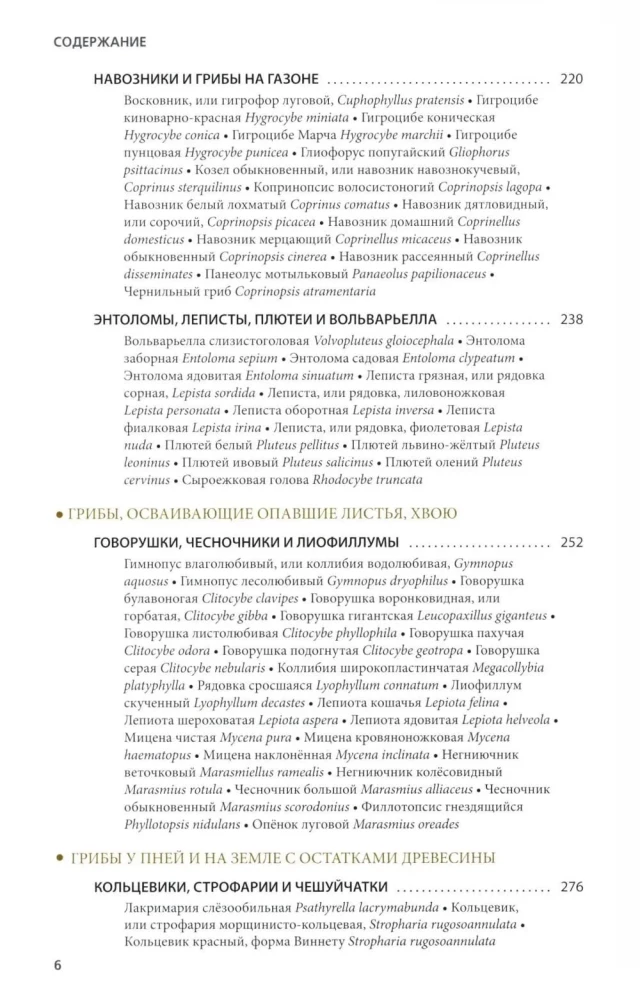 Pilze Russlands: Foto-bestimmungsbuch