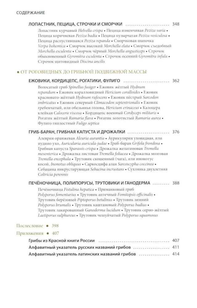 Pilze Russlands: Foto-bestimmungsbuch