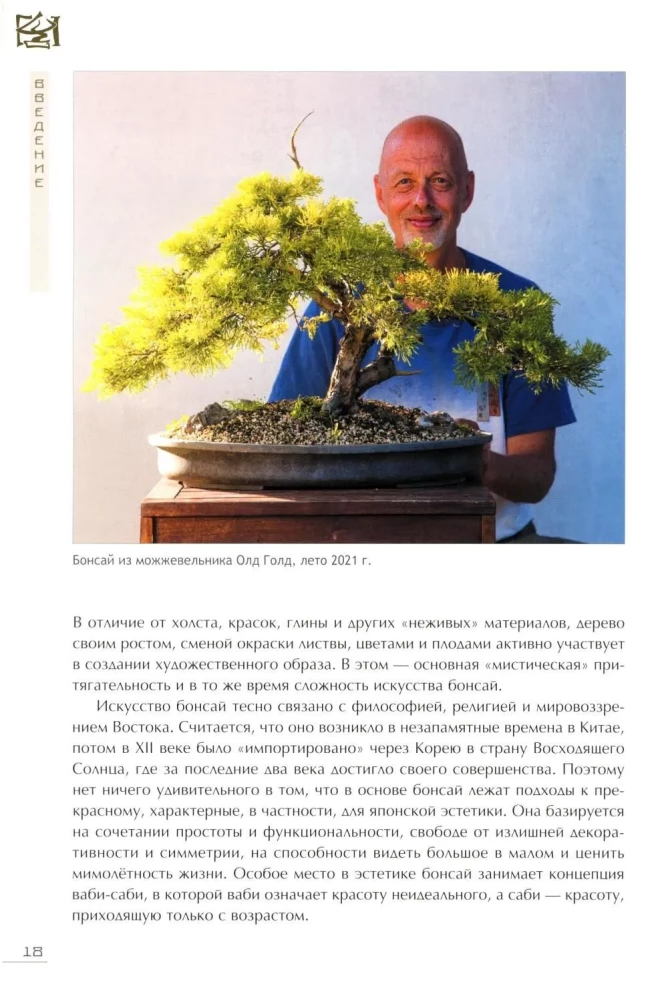 Bonsai. Kleine Bäume für große Freude