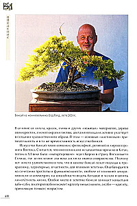 Bonsai. Kleine Bäume für große Freude