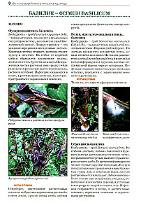 Atlas-identifier. Diseases and pests of vegetable crops.