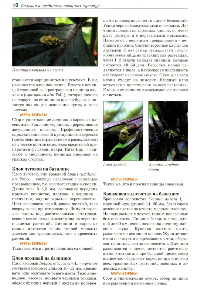 Atlas-identifier. Diseases and pests of vegetable crops.