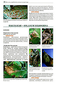 Atlas-identifier. Diseases and pests of vegetable crops.