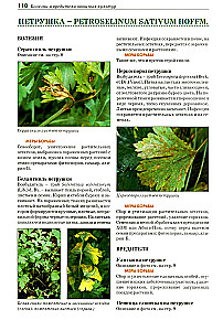 Atlas-identifier. Diseases and pests of vegetable crops.