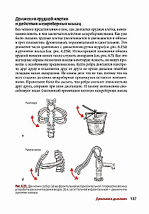 Anatomia jogi