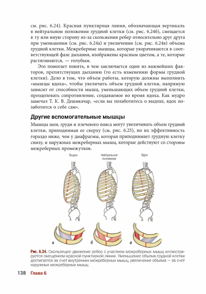 Anatomia jogi