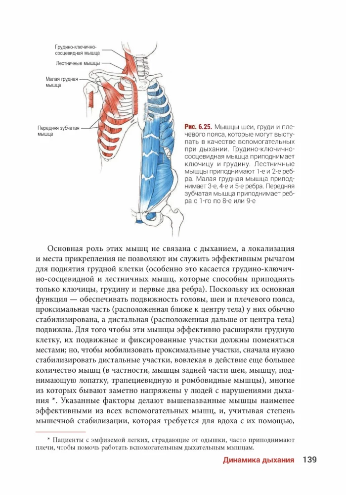 Anatomia jogi