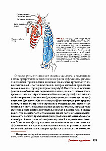 Anatomia jogi