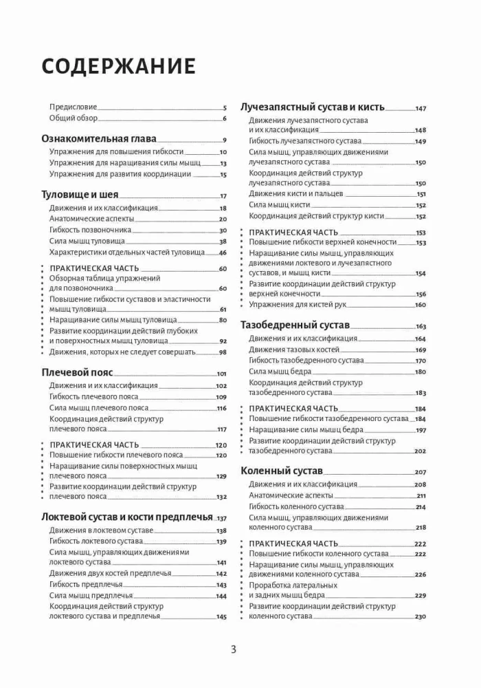 Anatomia ruchu: podstawy ćwiczeń