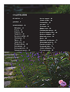 Flowerbeds. 60 Ready-made Solutions for Landscape Compositions