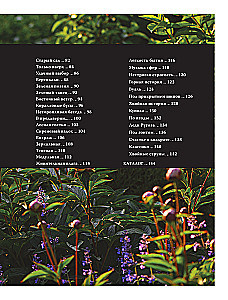 Flowerbeds. 60 Ready-made Solutions for Landscape Compositions