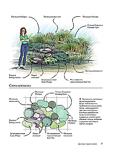 Flowerbeds. 60 Ready-made Solutions for Landscape Compositions