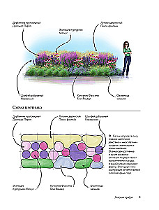 Flowerbeds. 60 Ready-made Solutions for Landscape Compositions