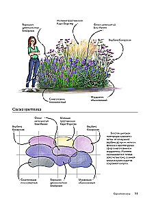 Flowerbeds. 60 Ready-made Solutions for Landscape Compositions