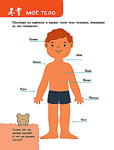 The Main Encyclopedia for the Baby