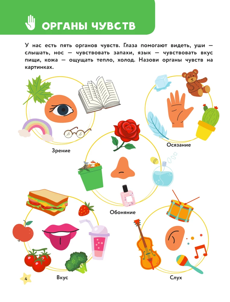 The Main Encyclopedia for the Baby