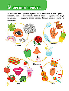 The Main Encyclopedia for the Baby