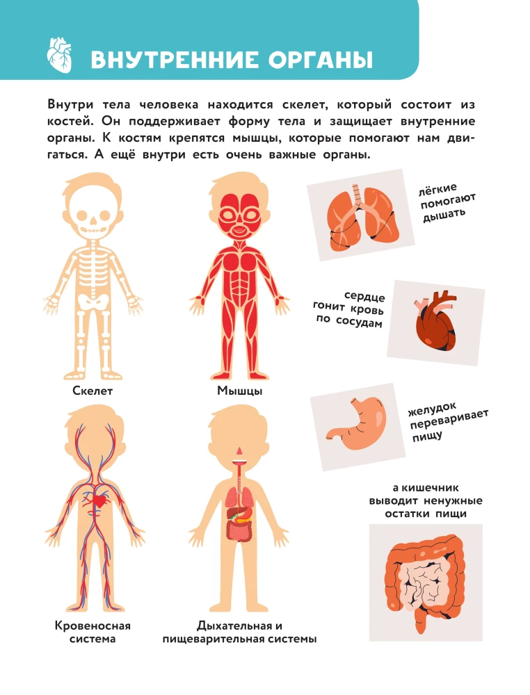 The Main Encyclopedia for the Baby