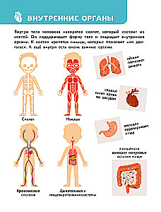 The Main Encyclopedia for the Baby