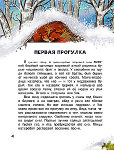 The First Lessons of the Little Bear