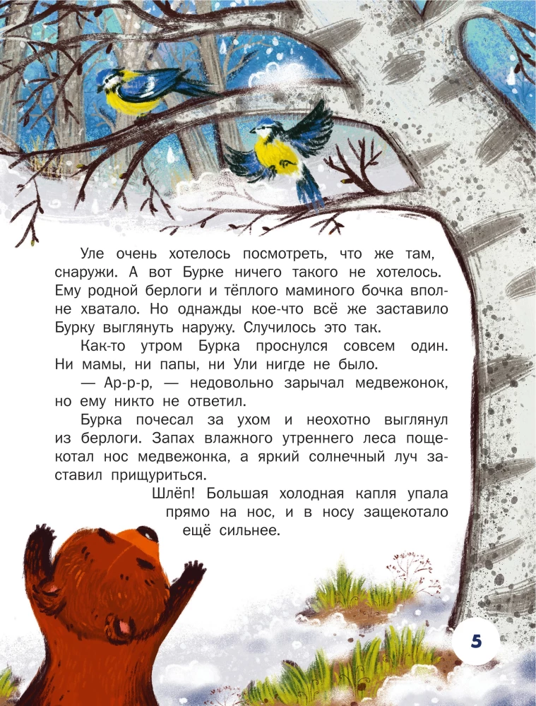 The First Lessons of the Little Bear