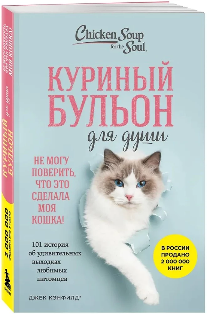 Chicken Soup for the Soul. I Can't Believe My Cat Did This! 101 Stories About the Amazing Antics of Our Beloved Pets