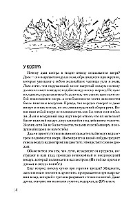 Занимательная наука на свежем воздухе