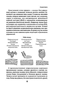 Осанка решает все. Один сантиметр от скованности и боли до свободы движения