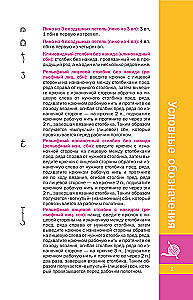 Colorful Crochet Motifs. Universal Schemes. 42 Motifs