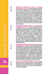 Colorful Crochet Motifs. Universal Schemes. 42 Motifs