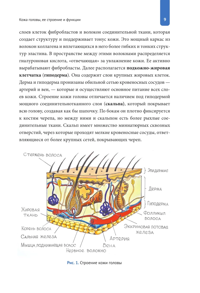 Practical Trichology. Protocol for Hair and Scalp Restoration