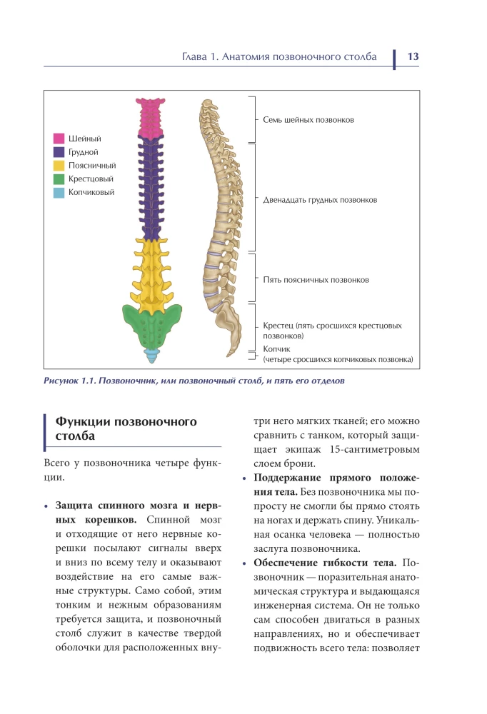 Biomechanics and Manual Therapy of the Spine